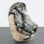 Charger l&#39;image dans la galerie, Septaria avec cristaux de quartz

